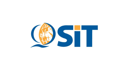 Quality Standard Information Technology - Q SIT